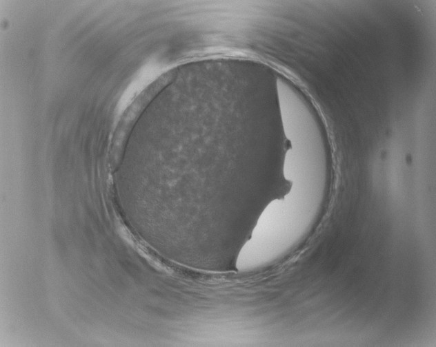 X0000051881373200507151901