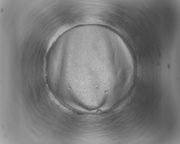 X0000051881374200507151901