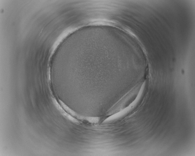 X0000051881376200507151901