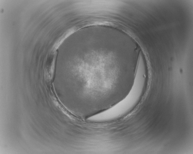 X0000051881377200507151901