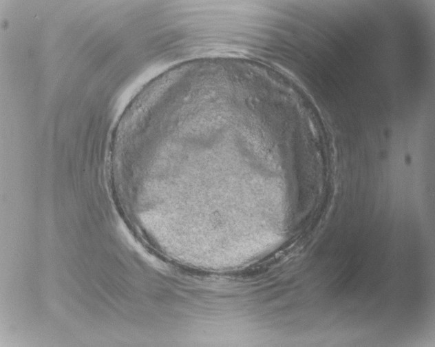 X0000051881379200507151901