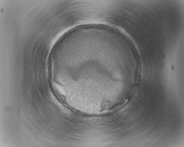 X0000051881380200507151901