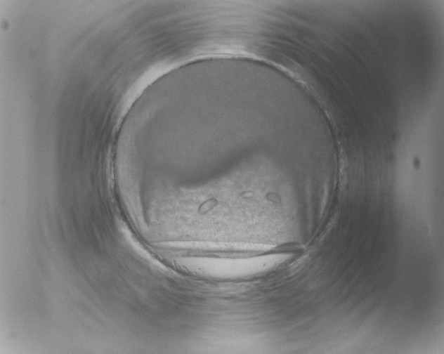 X0000051881382200507151901