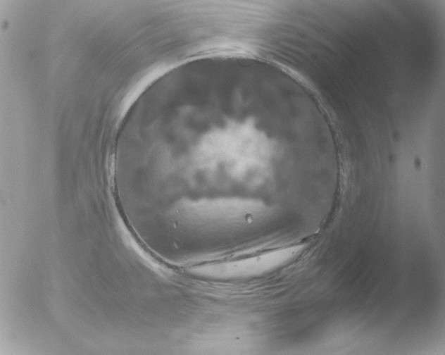 X0000051881383200507151901