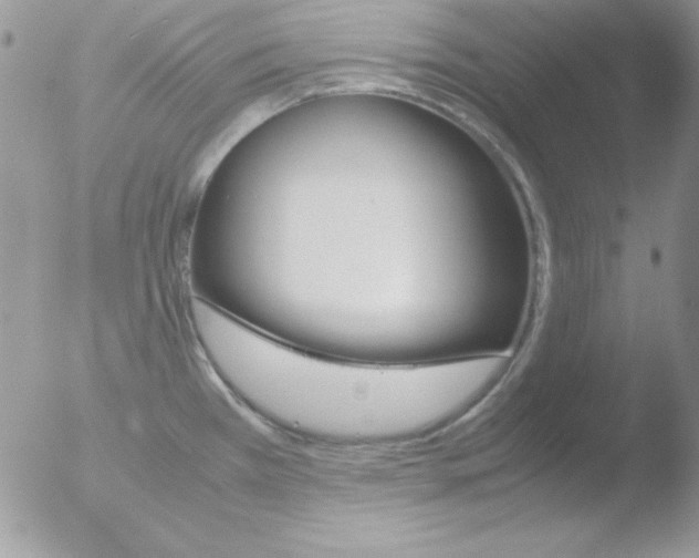 X0000051881385200507151901