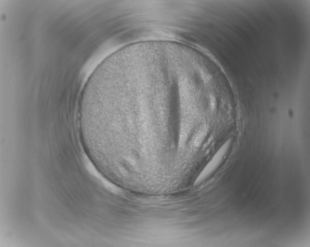 X0000051881387200507151901