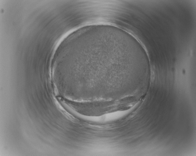 X0000051881388200507151901