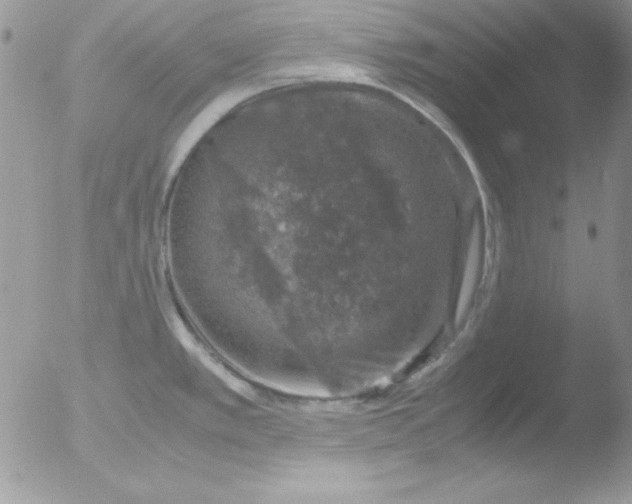 X0000051881389200507151901