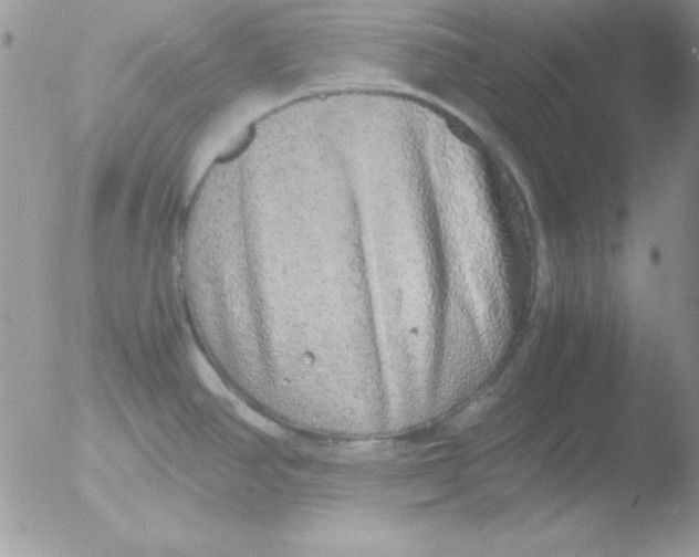 X0000051881390200507151901