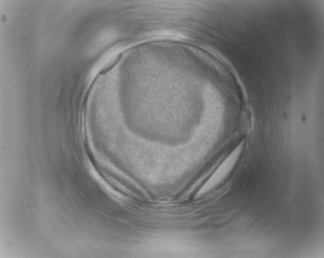 X0000051881391200507151901