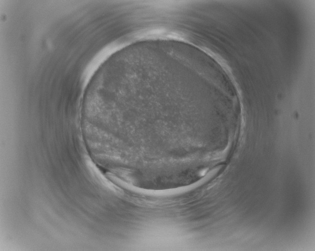 X0000051881392200507151901