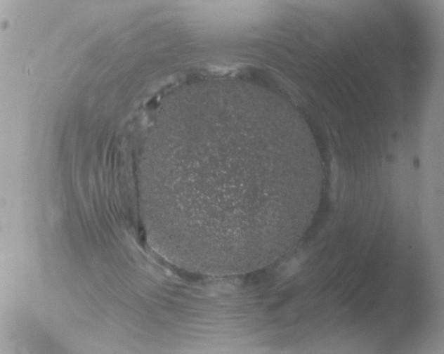 X0000051881394200507151900