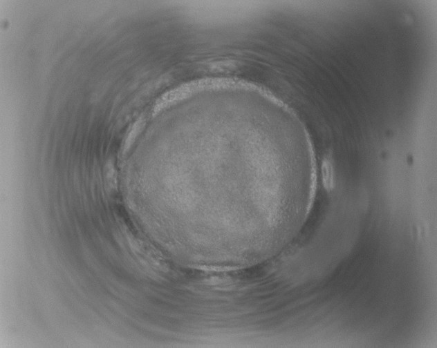 X0000051881395200507151900