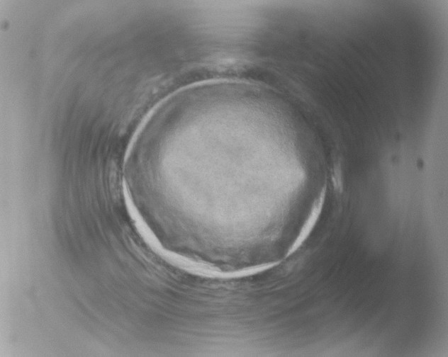 X0000051881396200507151900