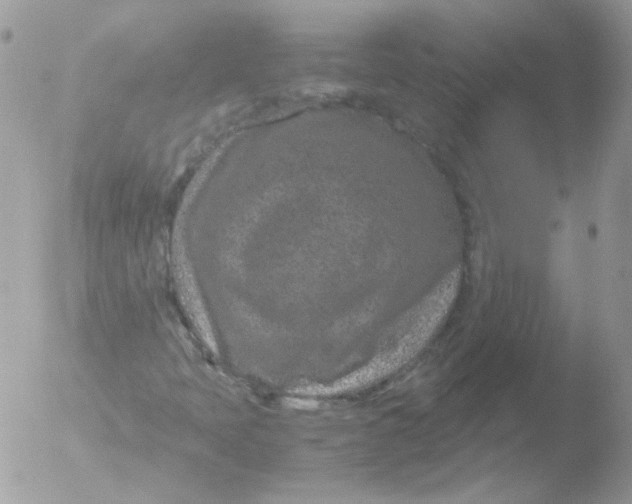 X0000051881397200507151900