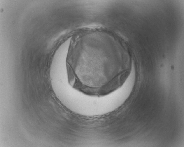 X0000051881398200507151900