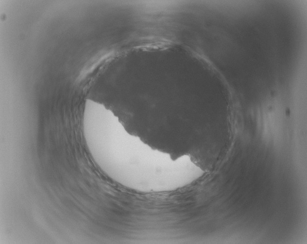 X0000051881399200507151900