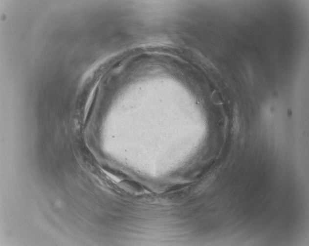 X0000051881400200507151900