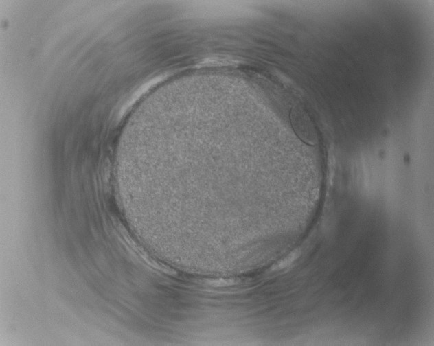 X0000051881401200507151900