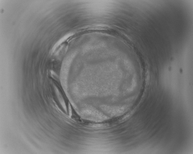 X0000051881402200507151900