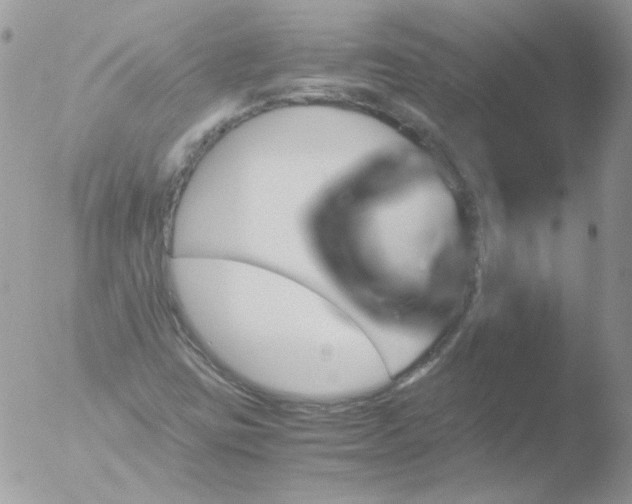 X0000051881403200507151900