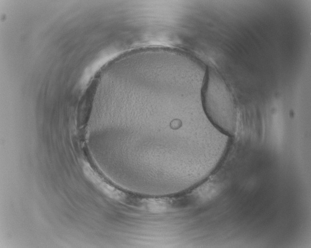 X0000051881404200507151900