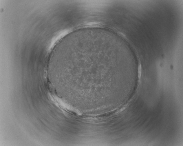 X0000051881405200507151900