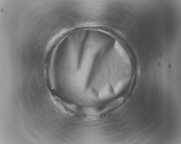 X0000051881406200507151900