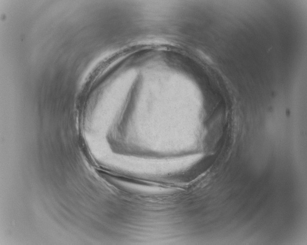 X0000051881408200507151900