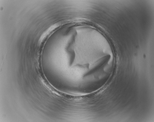 X0000051881410200507151900