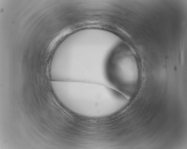 X0000051881411200507151900