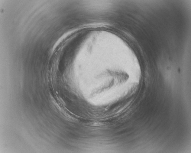 X0000051881412200507151900