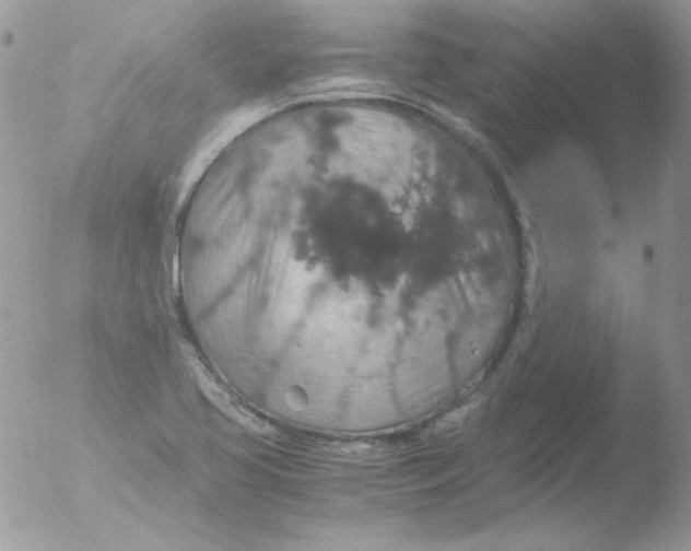 X0000051881413200507151900