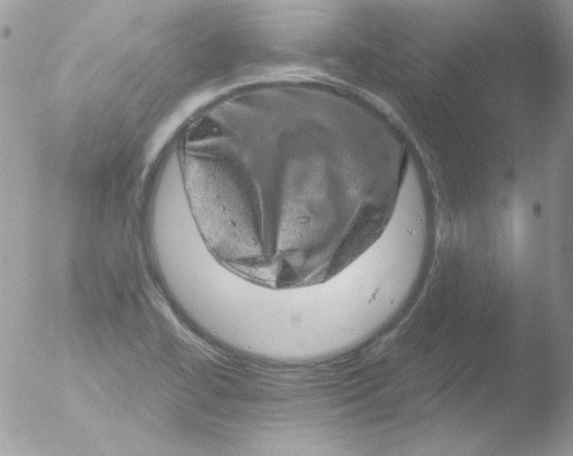 X0000051881414200507151900