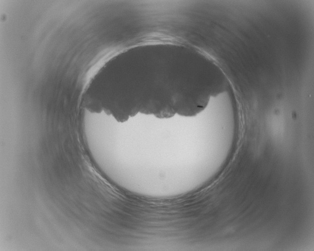 X0000051881415200507151900