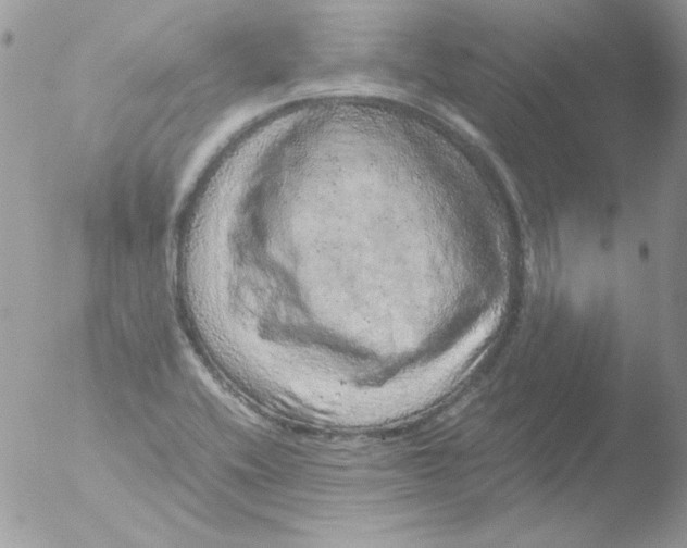 X0000051881416200507151900