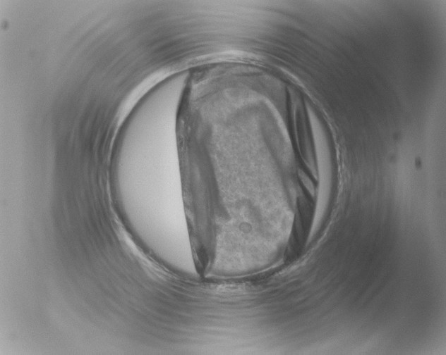 X0000051881418200507151900