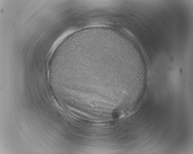 X0000051881419200507151900