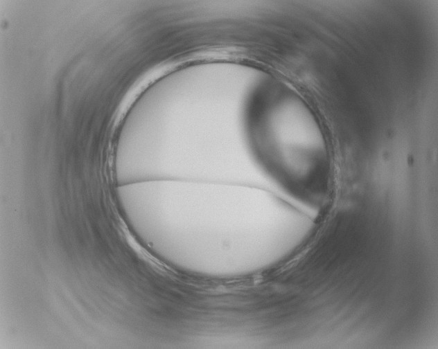 X0000051881421200507151900