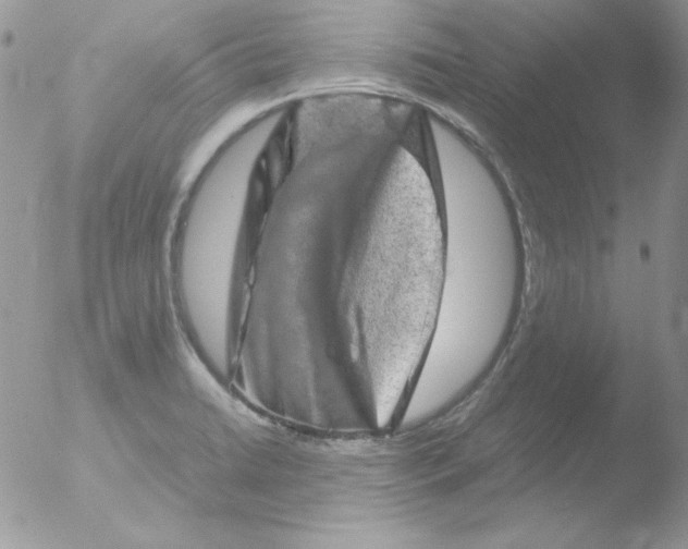 X0000051881422200507151900