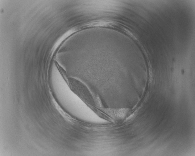 X0000051881426200507151901