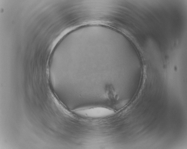 X0000051881428200507151901