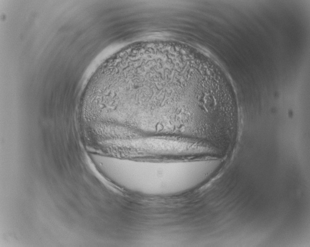 X0000051881429200507151901