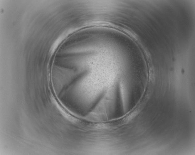 X0000051881430200507151901