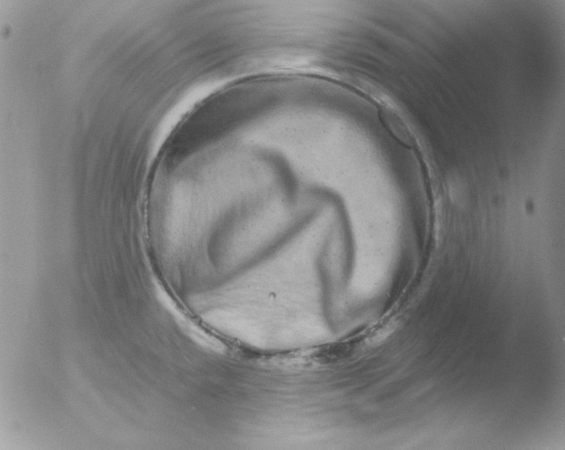 X0000051881432200507151901