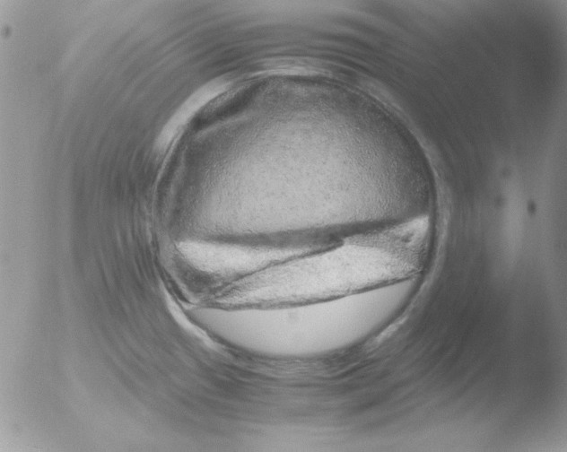 X0000051881433200507151901