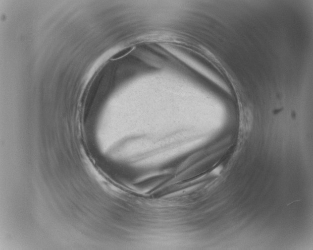 X0000051881434200507151901