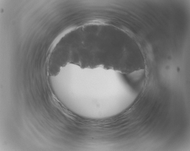 X0000051881435200507151901