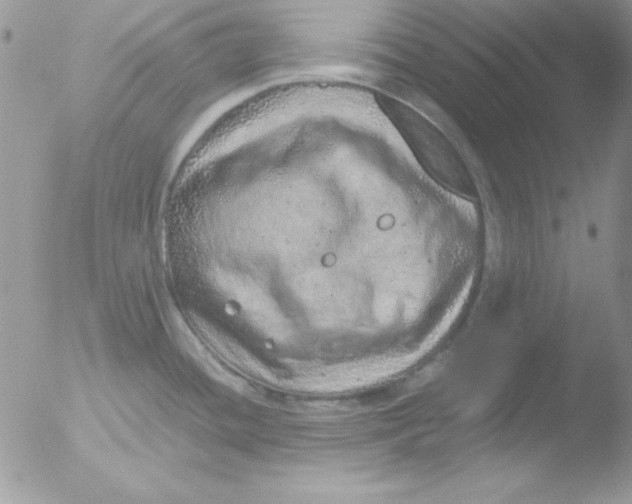 X0000051881436200507151901