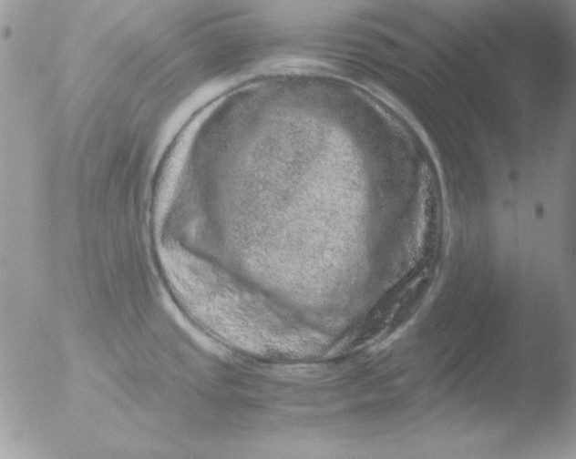 X0000051881437200507151901